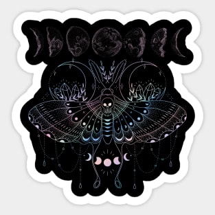 butterfly Sticker